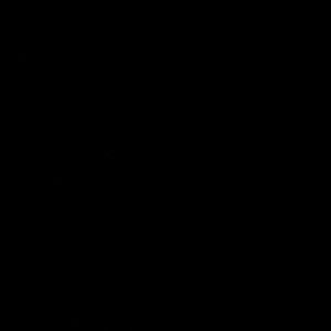 Meet your Posher, Ana beatriz